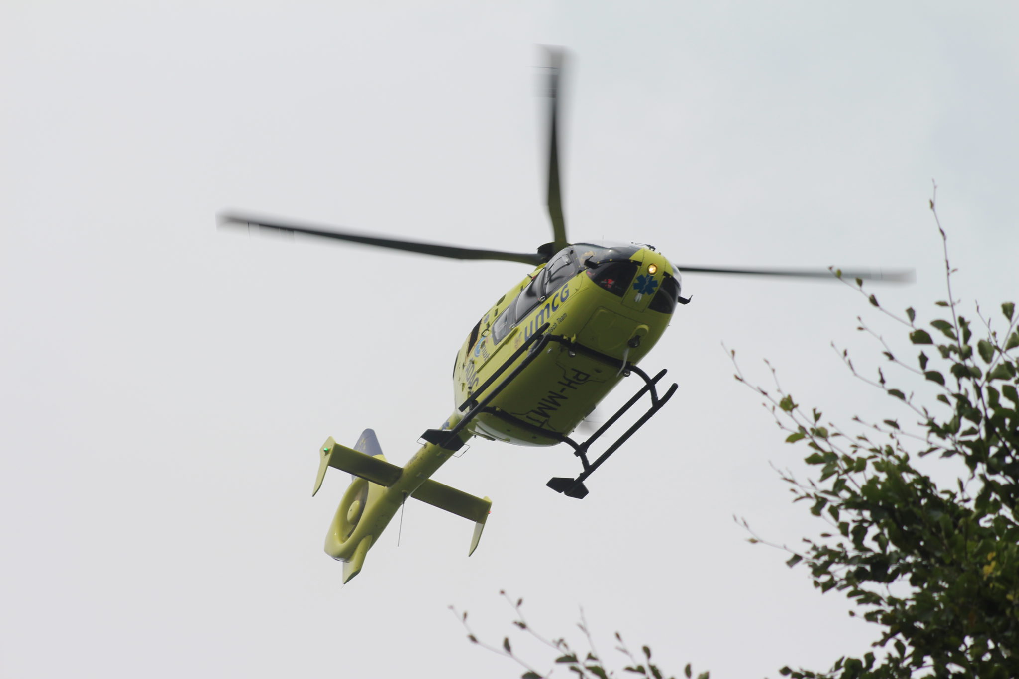 112-dokkum Traumahelikopter ingezet na wespensteek in Twijzelerheide
