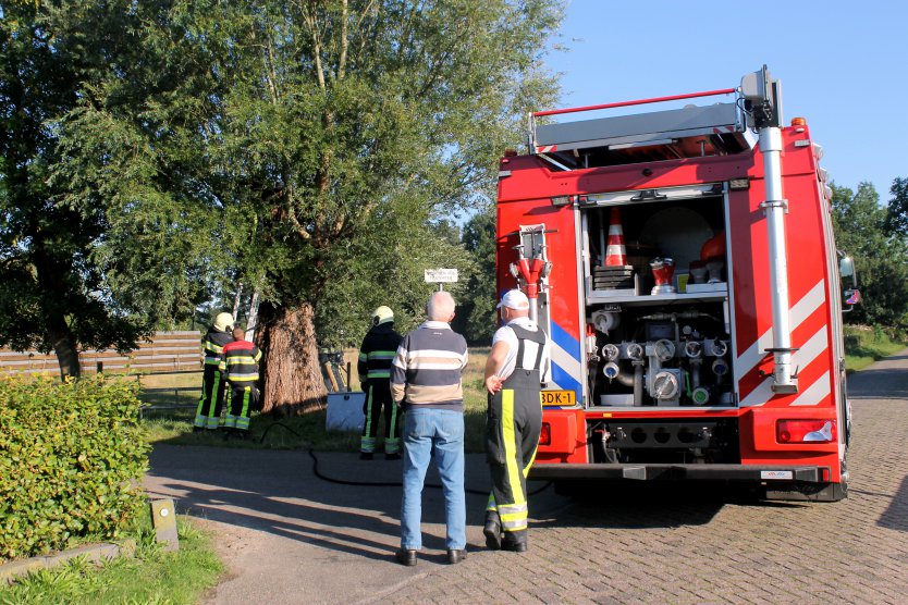 112-dokkum Buurtbewoners ontdekken rokende boom in Broeksterwâld