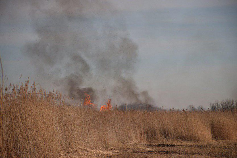  Rook en stankoverlast door brandjes in weiland bij Kollum 