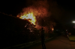 112-dokkum Forse coniferenbrand aan het Koweblomke in Damwâld