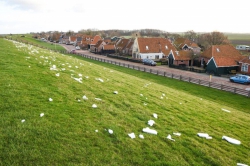 112-dokkum Zeedijken Noard East Fryslân liggen bezaaid met piepschuim