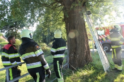 112-dokkum Buurtbewoners ontdekken rokende boom in Broeksterwâld